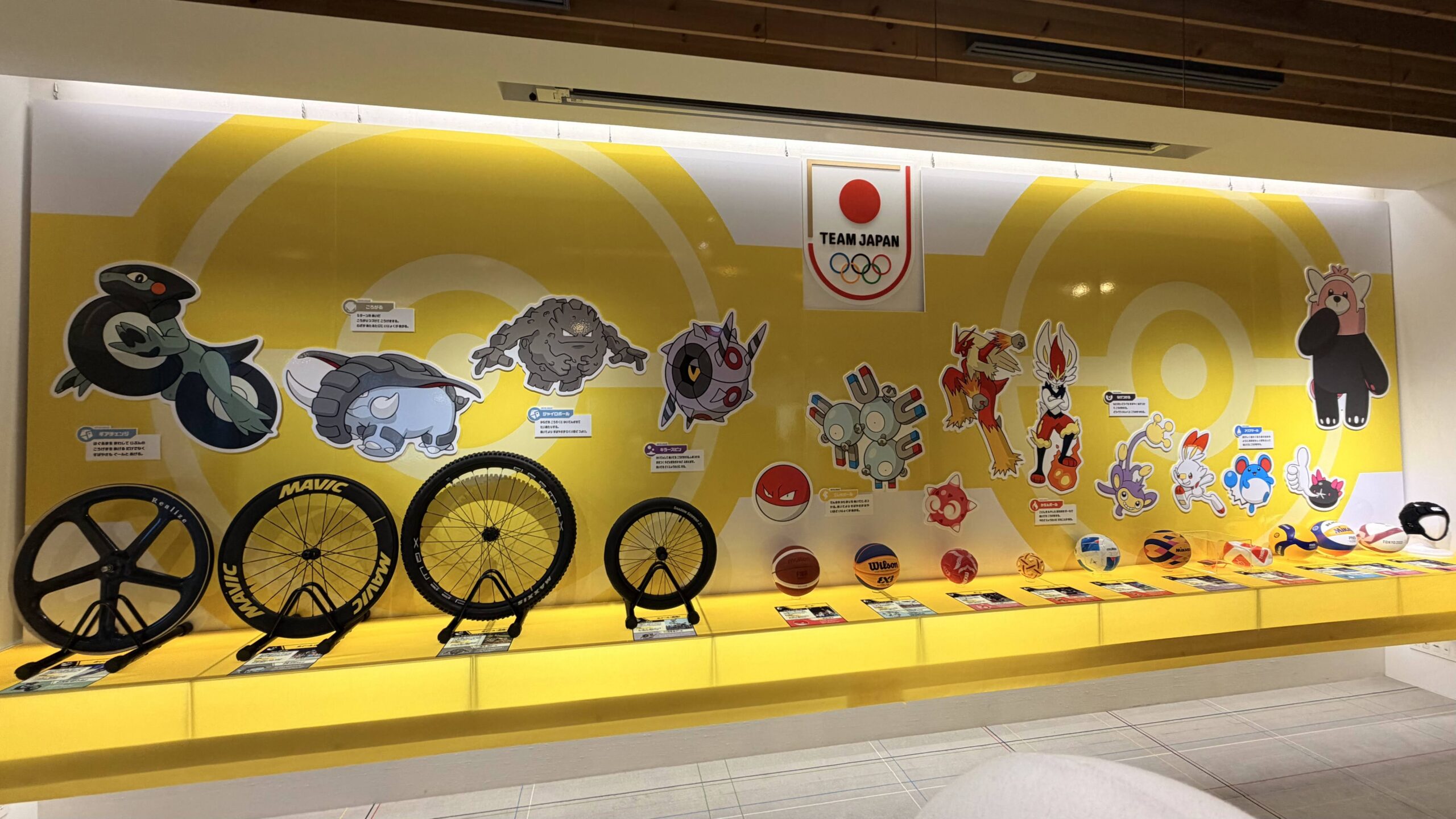 バックパネル、テーブルクロス